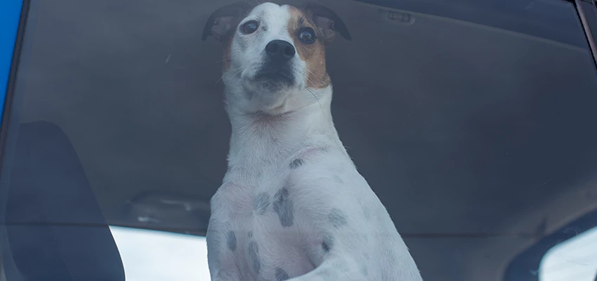 Car Lockout Solutions in Orcutt, California